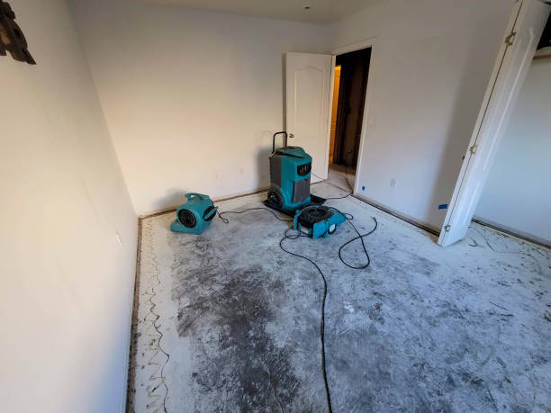 Best Carpet water damage restoration  in Mocksville, NC