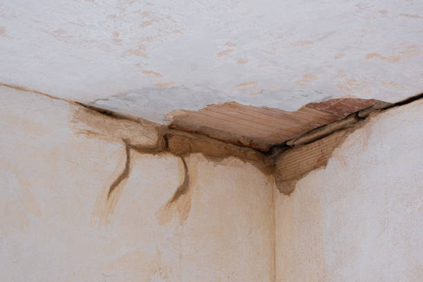 Best Local water damage restoration  in Mocksville, NC