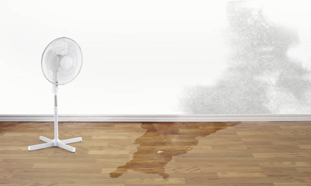 Best Fire Damage Restoration  in Mocksville, NC