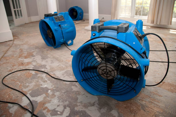 Best Flooded house restoration  in Mocksville, NC