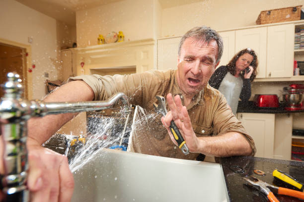 Best Mold removal after water damage  in Mocksville, NC